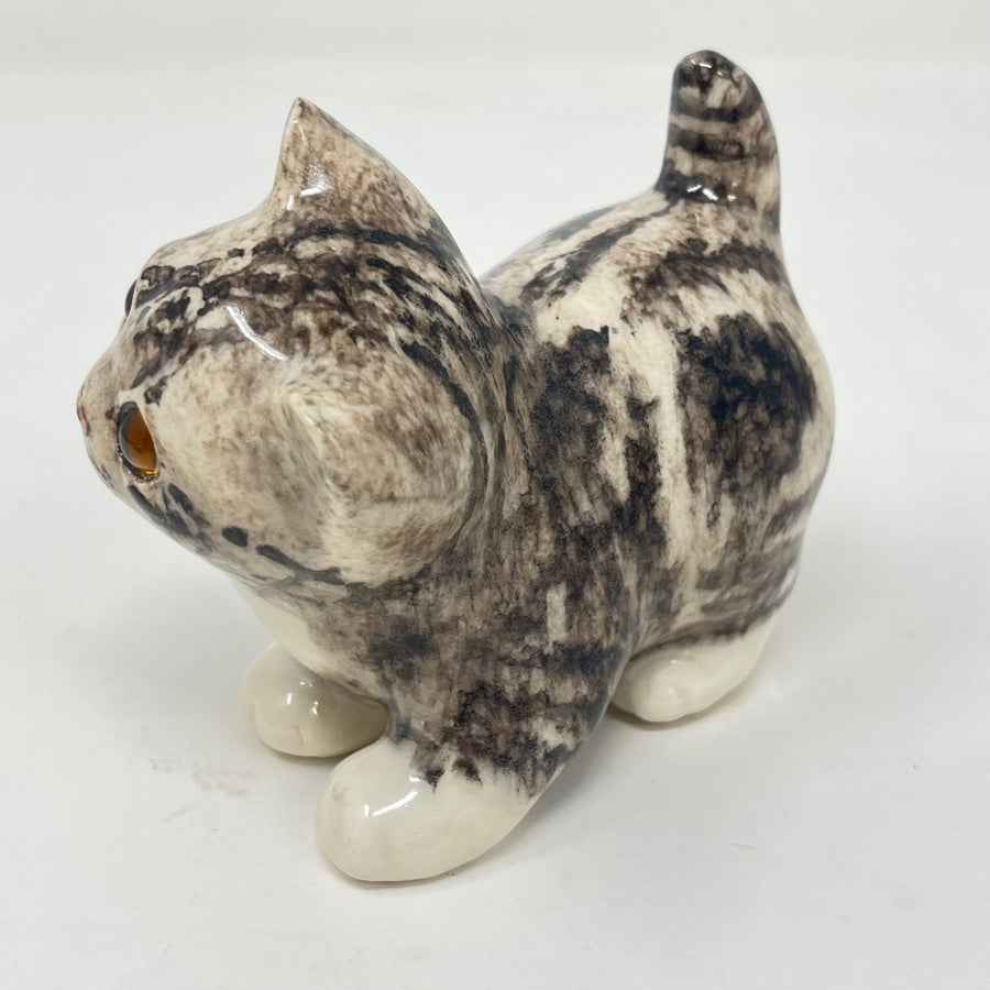 Winstanley Grey Tabby Head Cocked - Size 1