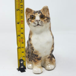 Winstanley Long Haired Tabby & White Cat - Size 1