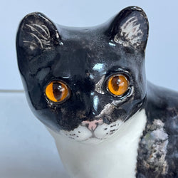 Winstanley Tuxedo Cat Sitting  - Size 3