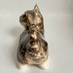 Winstanley Grey Tabby Kitten - Size 1