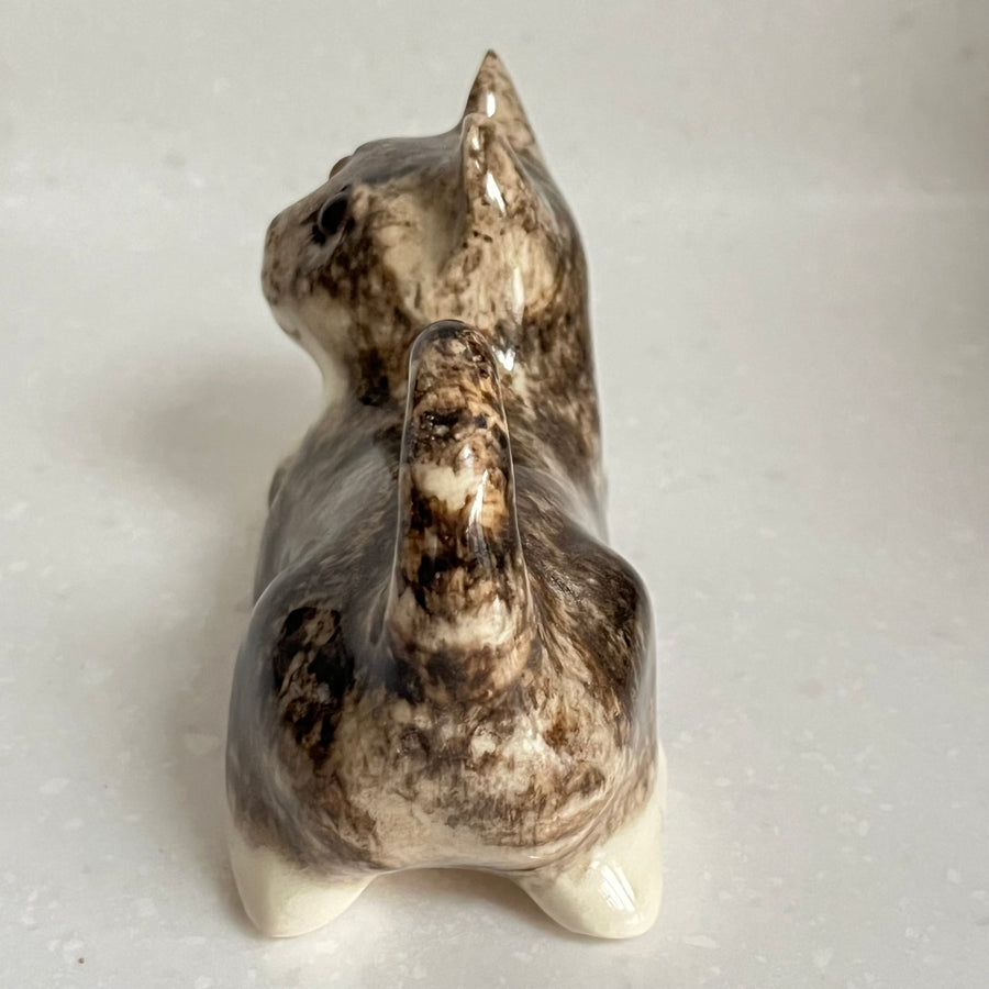 Winstanley Grey Tabby Kitten - Size 1