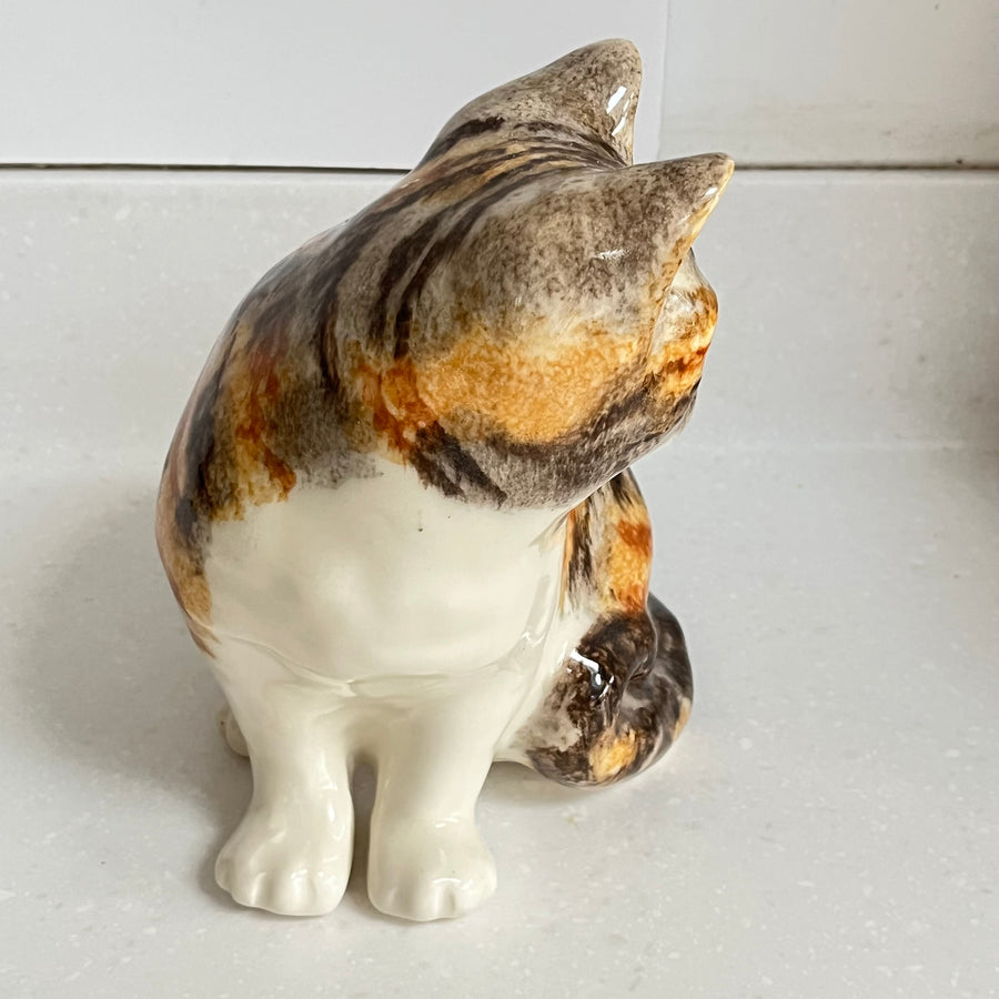 Winstanley Tortie Cat Sitting - Size 4