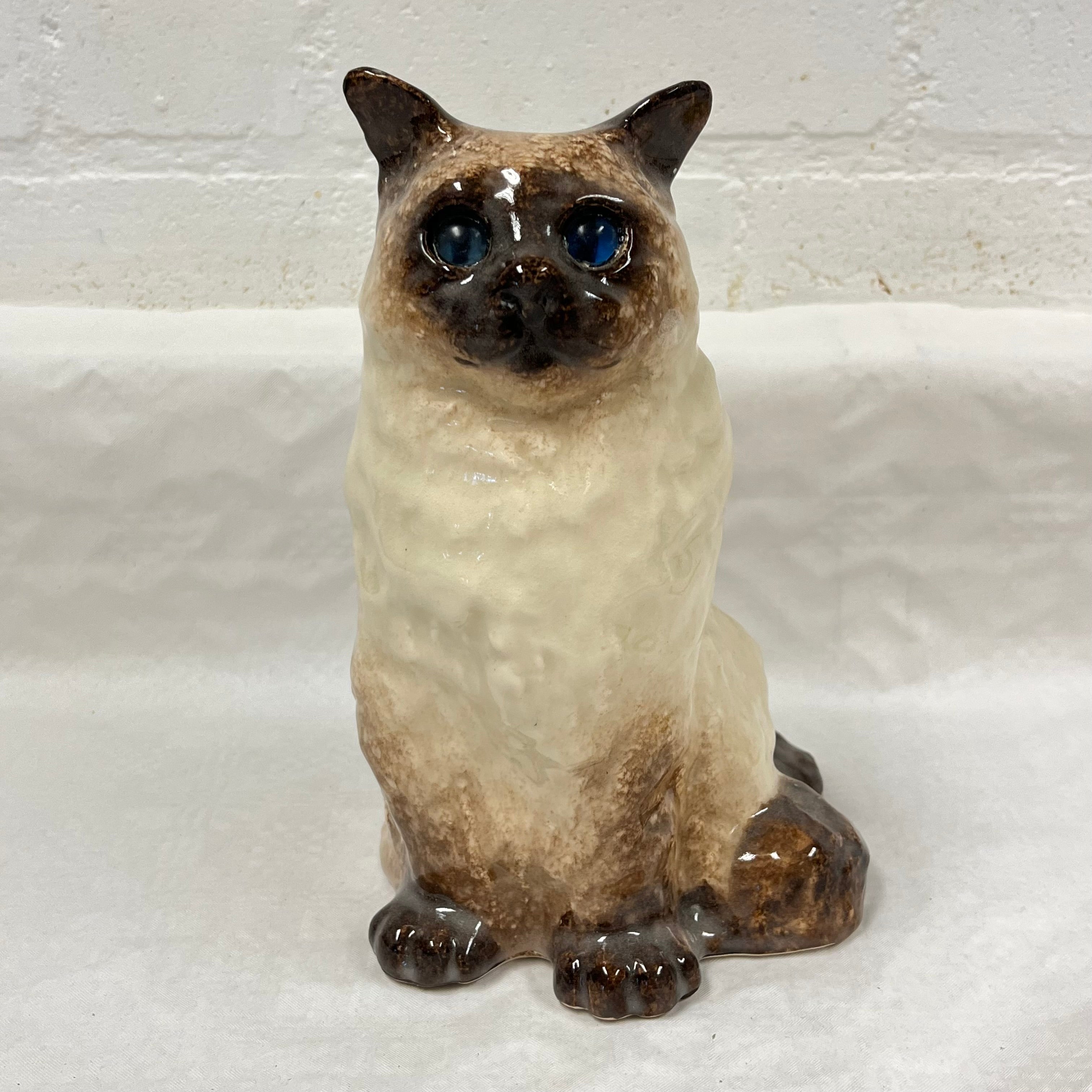 Winstanley Birman / Ragdoll Cat - Size 4