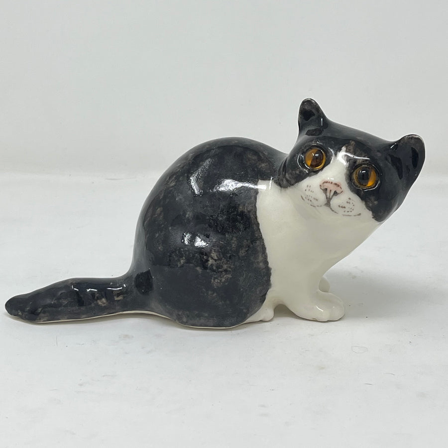 Winstanley Black and White Cat - Size 2