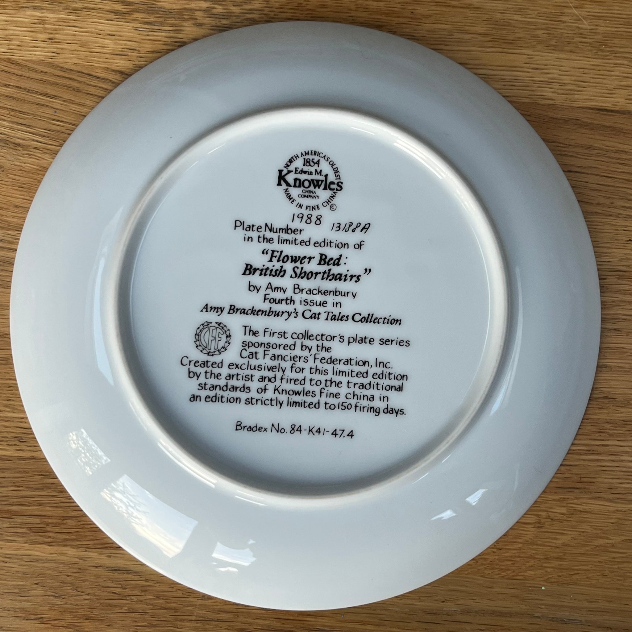 Vintage Plate Flower Bed: British Shorthairs by Knowles China