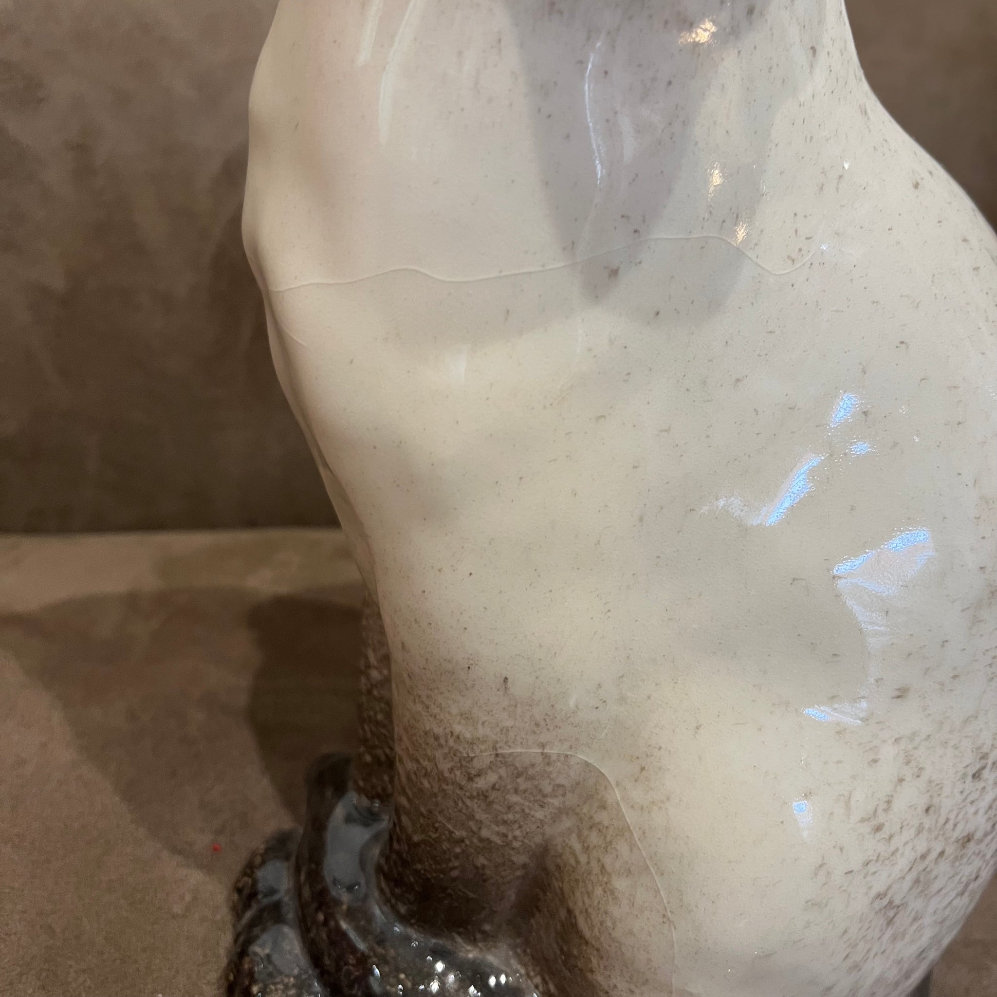 Winstanley Chocolate Point Siamese Cat - Size 5 - reduced price