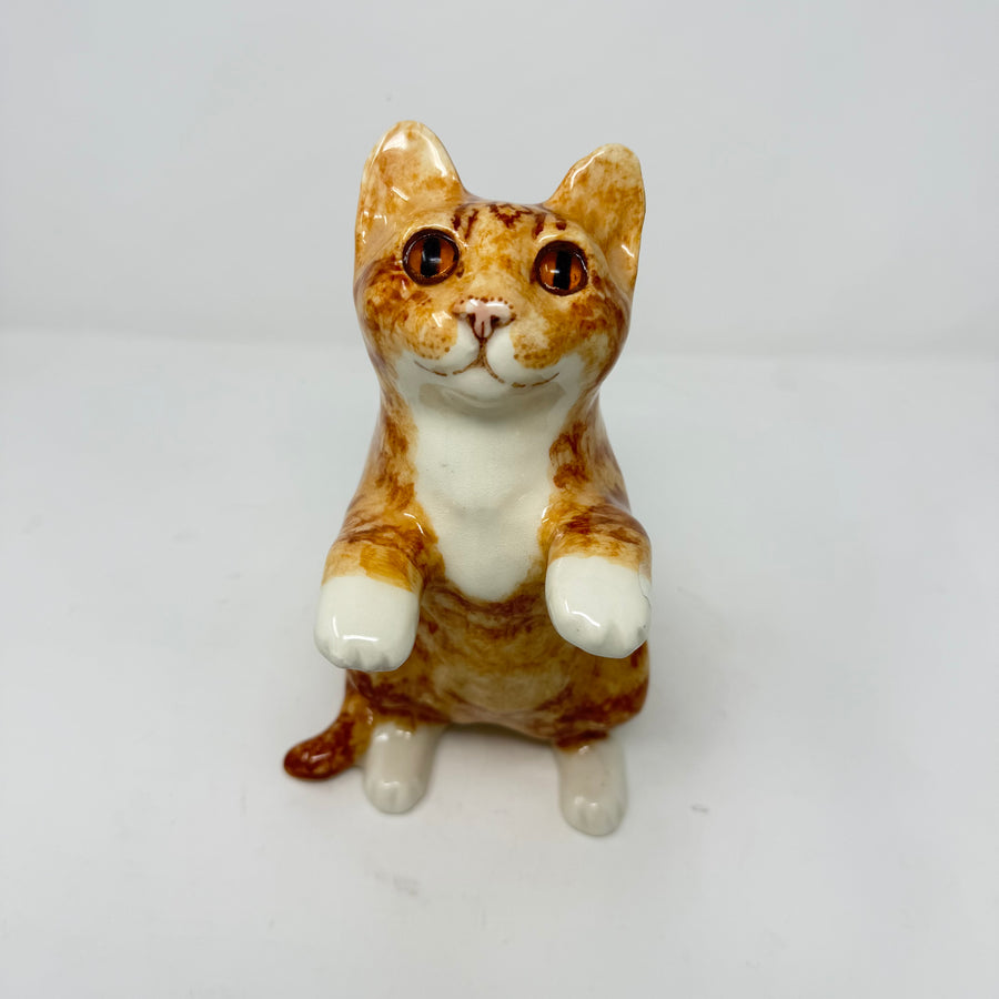 Winstanley Ginger & White Begging Cat - Size 4