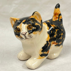 Winstanley Tortie & White Kitten - Size 1