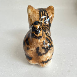 Winstanley Bengal Kitten - Size 1