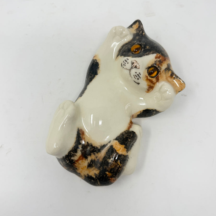 Winstanley Tortie & White On Back Size 2