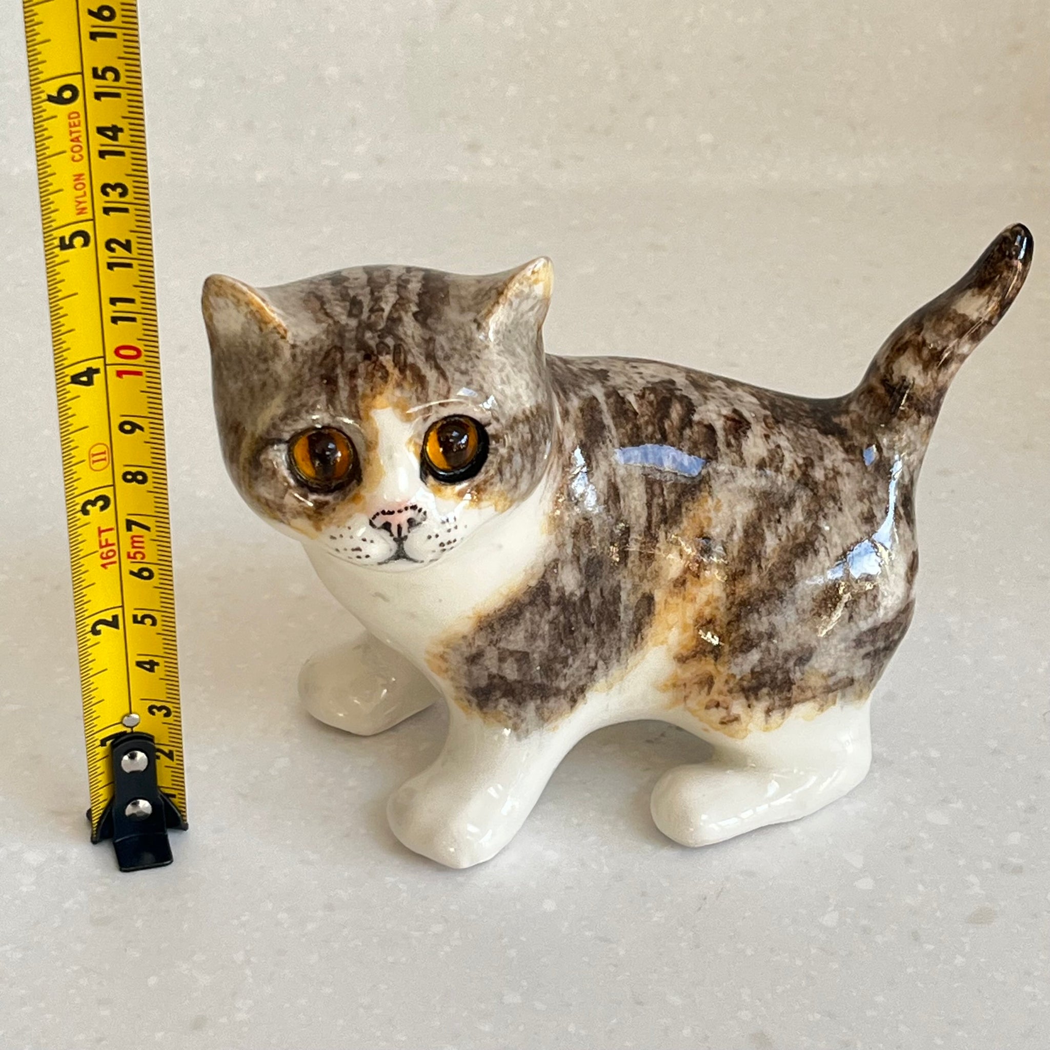 Winstanley Tabby, Brown and White Cat - Size 2