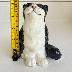 Winstanley Black and White Kitten - Size 1