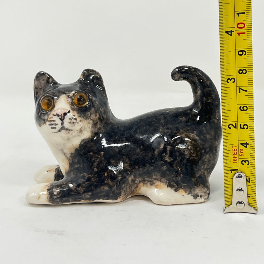Winstanley Dark Brindle Cat - Size 1
