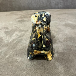 Winstanley Tortie Kitten - Size 1