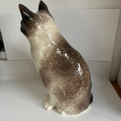 Winstanley Cat - Size 7