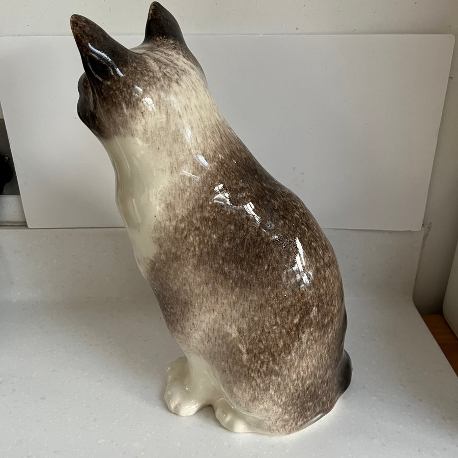 Winstanley Cat - Size 7