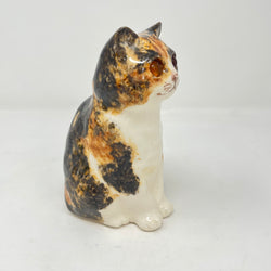 Winstanley Tortie & White - Size 1