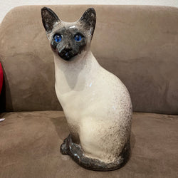 Winstanley Chocolate Point Siamese Cat - Size 5 - reduced price