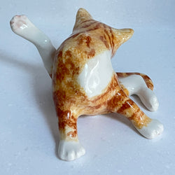 Winstanley Ginger Cat Washing  - Size 3