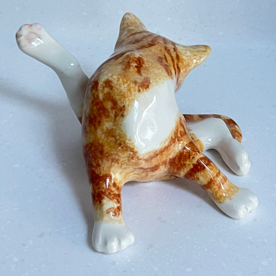 Winstanley Ginger Cat Washing  - Size 3