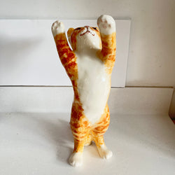 Winstanley Ginger Cat Playing - Size 5