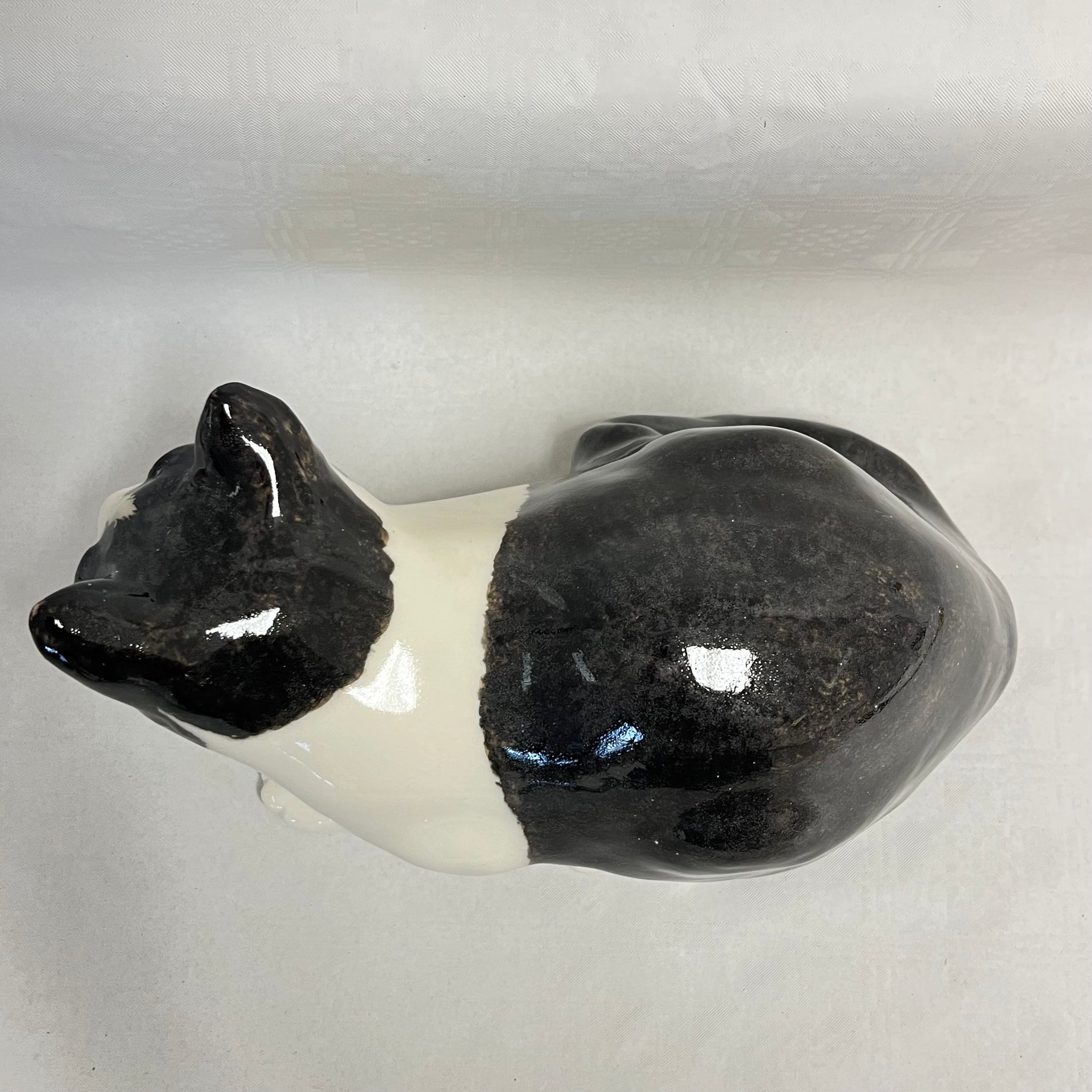 Winstanley Black & White Cat - Size 5
