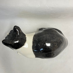 Winstanley Black & White Cat - Size 5