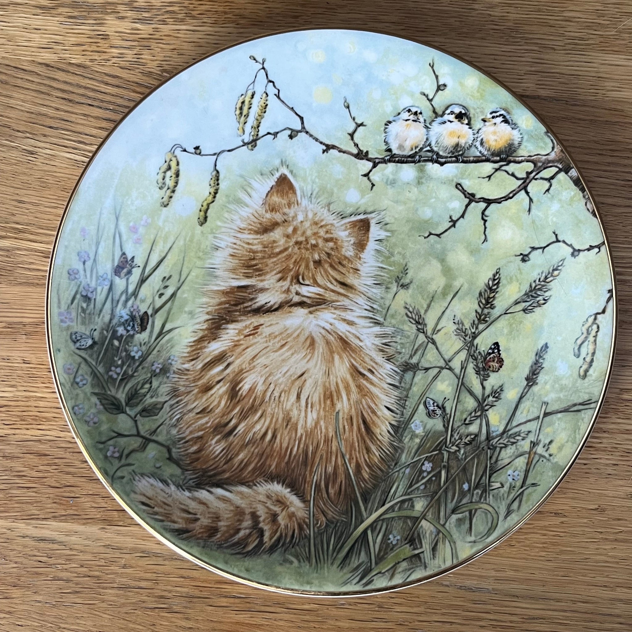Vintage Plate Birdwatcher by The Hamilton Collection / Royal Worcester