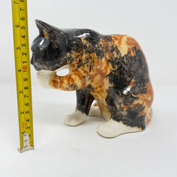 Winstanley Tortie Cat Licking Paw - Size 3