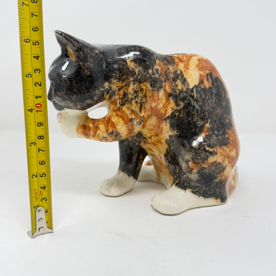 Winstanley Tortie Cat Licking Paw - Size 3
