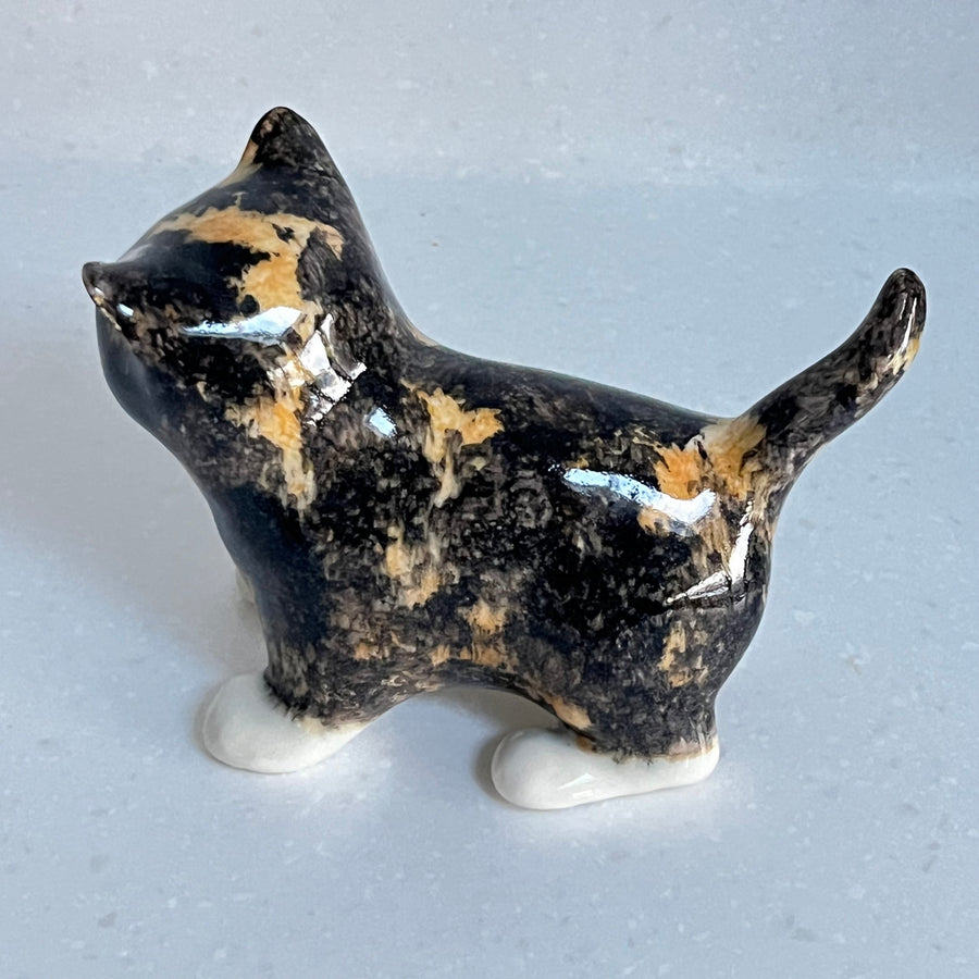 Winstanley Tortie Cat - Size 2