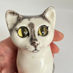 Winstanley Grey and White Kitten - Size 1