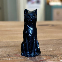 Bolt, Minster Fire Commemorative Cat