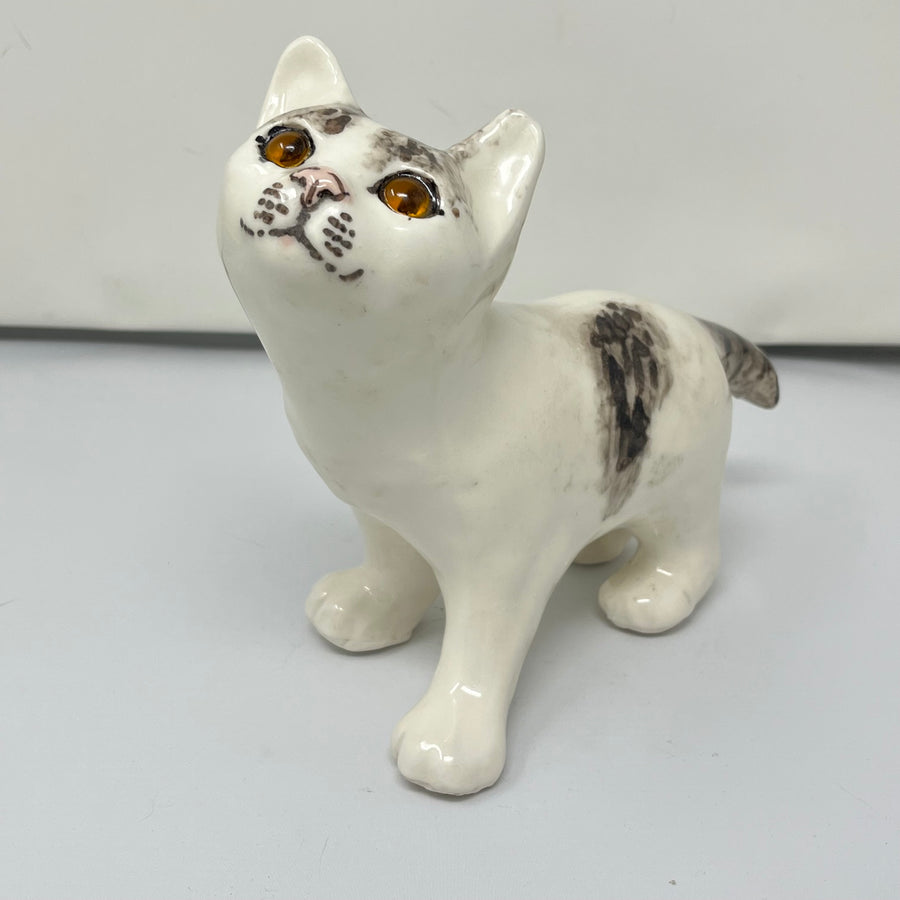 Winstanley White & Grey Tabby Cat - Size 3