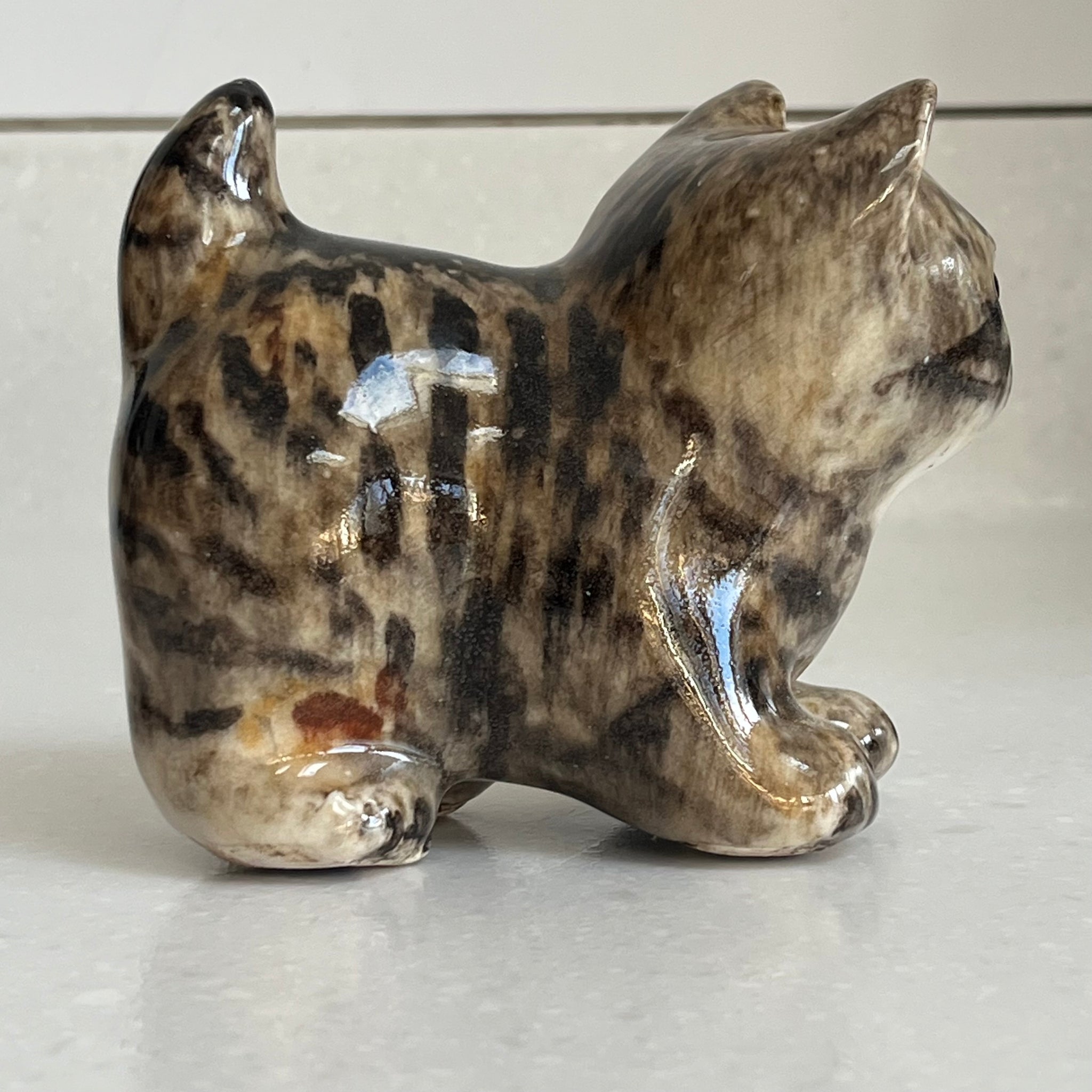 Winstanley Grey Tabby Kitten Standing - Size 1