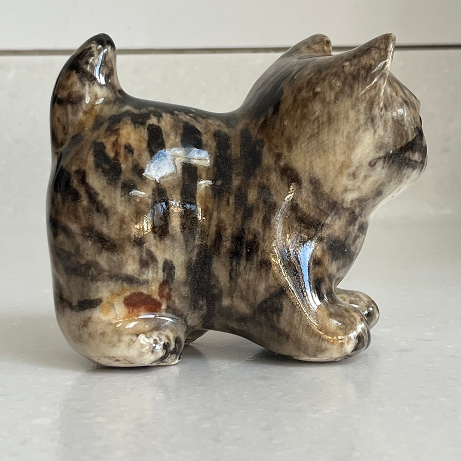 Winstanley Grey Tabby Kitten Standing - Size 1
