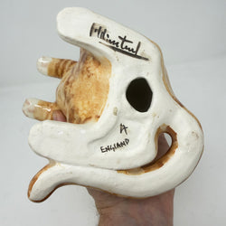 Winstanley Ginger & White Begging Cat - Size 4