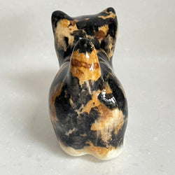 Winstanley Tortoiseshell Kitten - Size 1