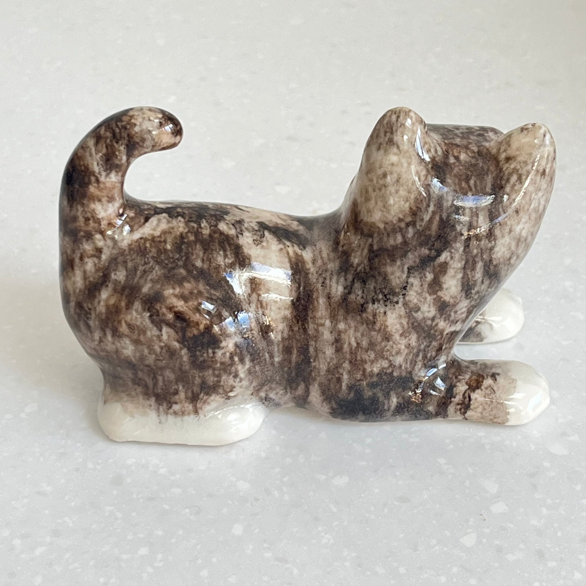 Winstanley Playful Grey Tabby - Size 1