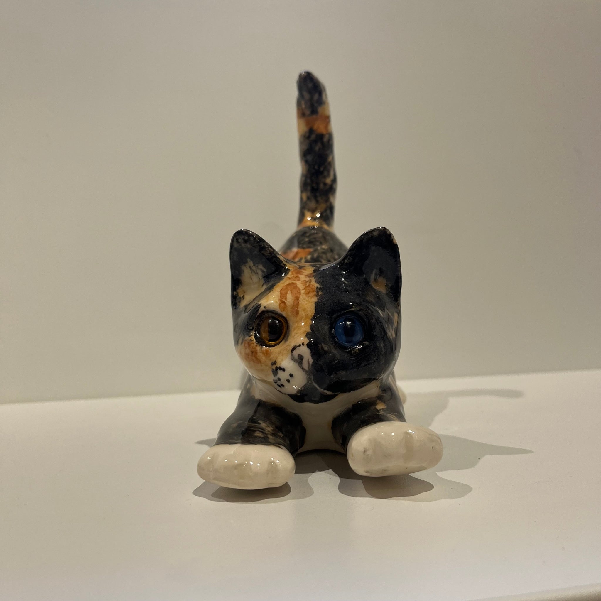 Tortie Winstanley Cat - Size 3