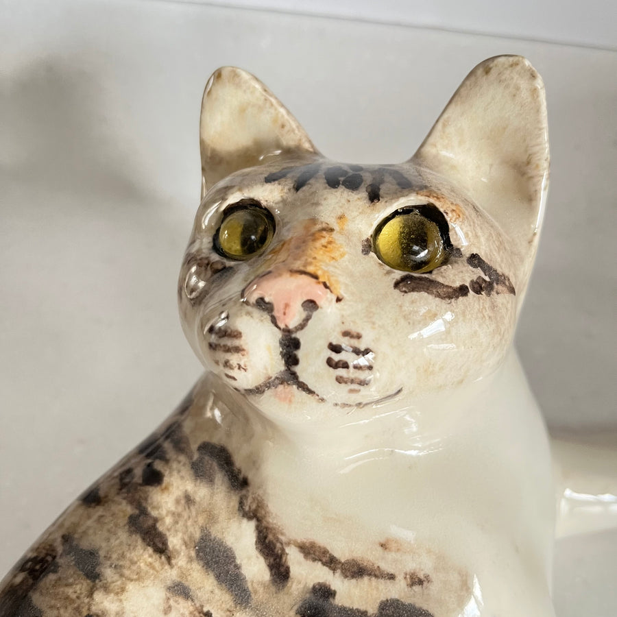 Winstanley Tabby Cat Lying Down - Size 5