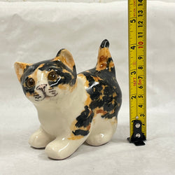 Winstanley Tortie & White Kitten - Size 1