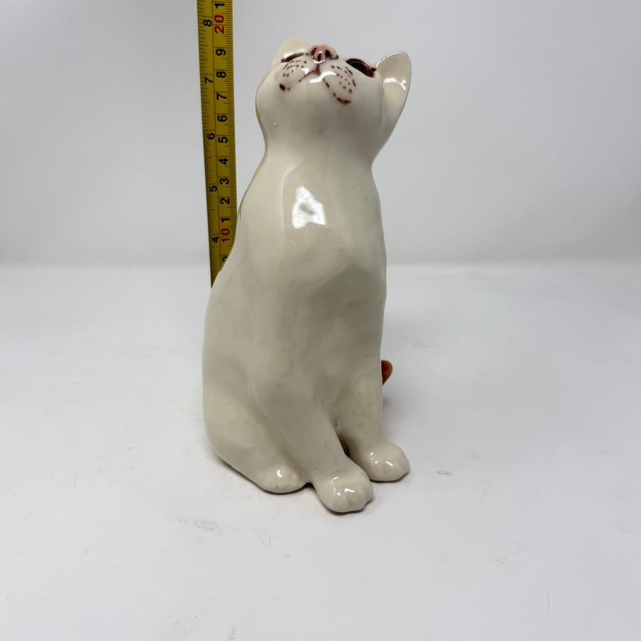 Winstanley White and Ginger Cat Size 2