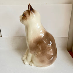 Winstanley Cat - Size 6