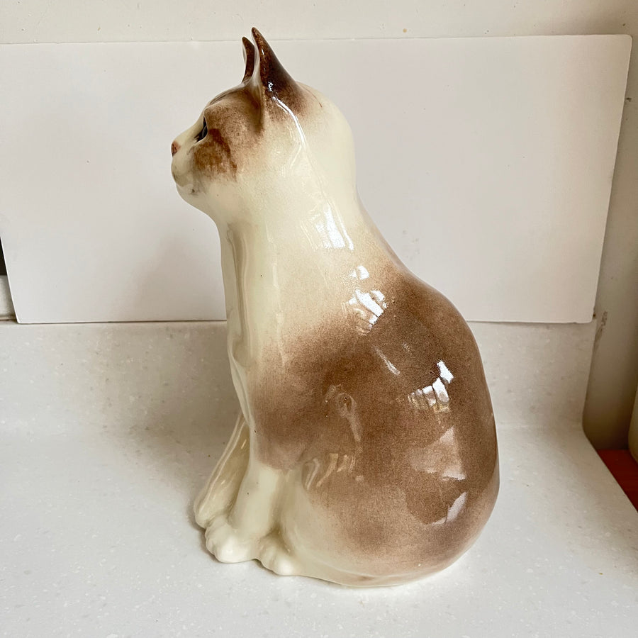 Winstanley Cat - Size 6