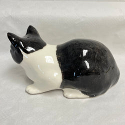 Winstanley Black & White Cat - Size 5