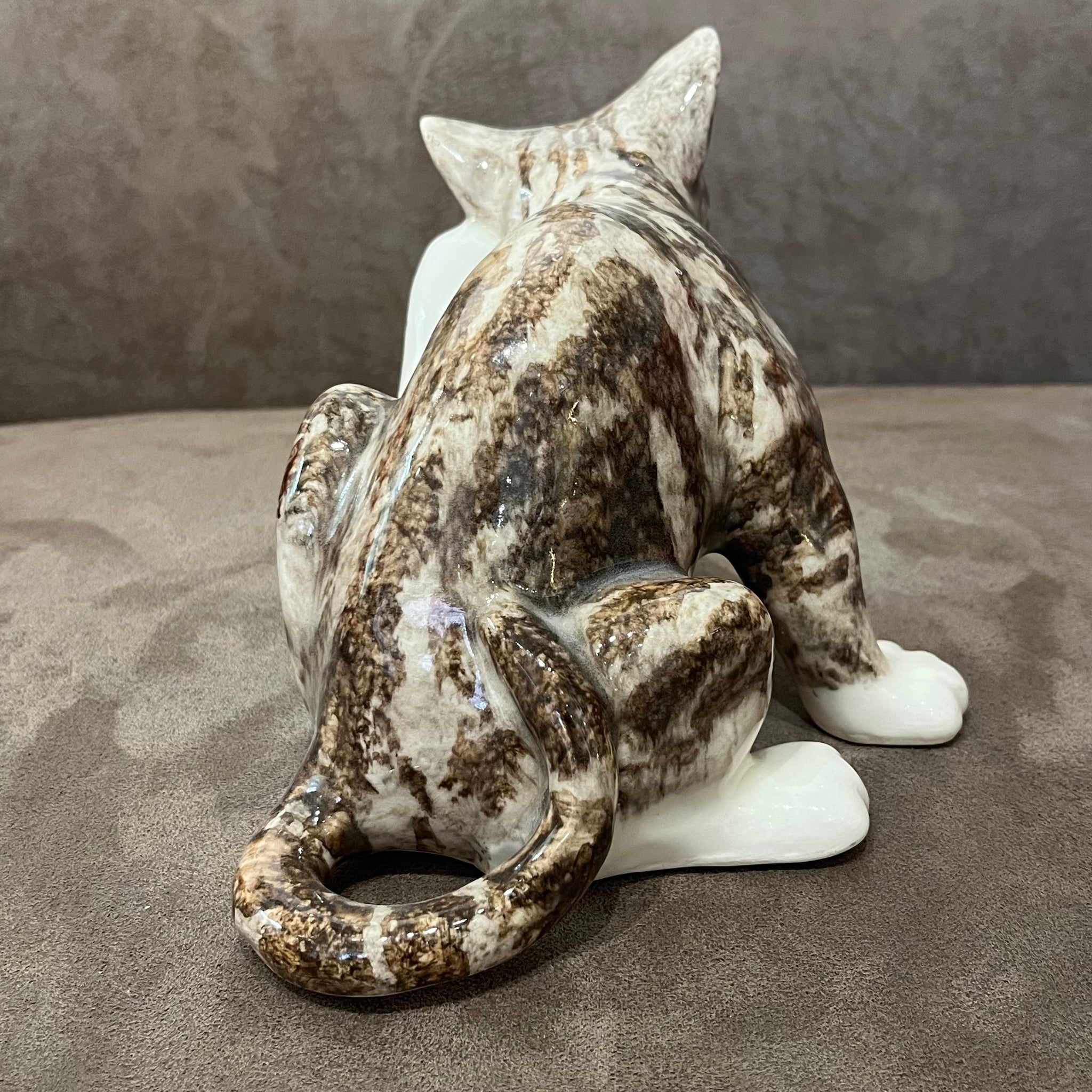 Winstanley Tabby Scratching - Size 3