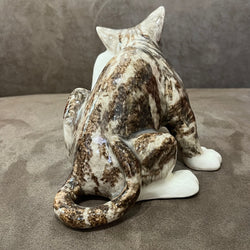 Winstanley Tabby Scratching - Size 3