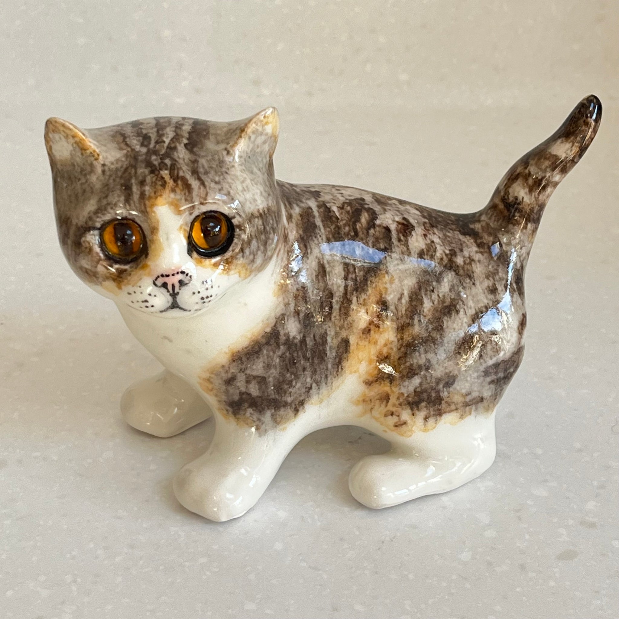 Winstanley Tabby, Brown and White Cat - Size 2