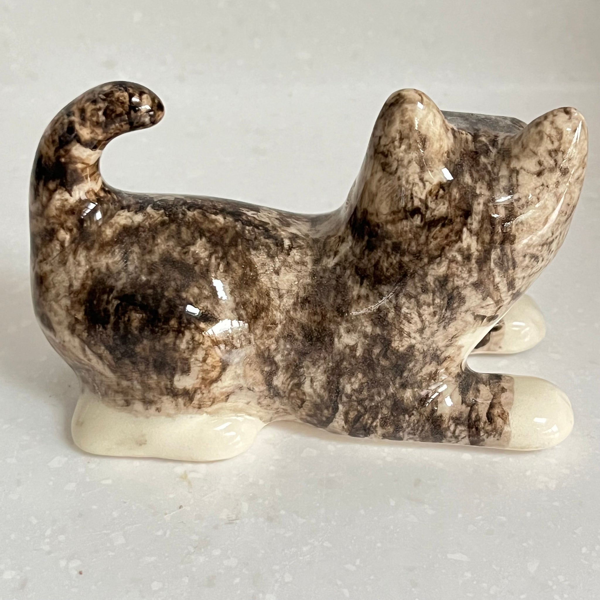 Winstanley Grey Tabby Kitten - Size 1